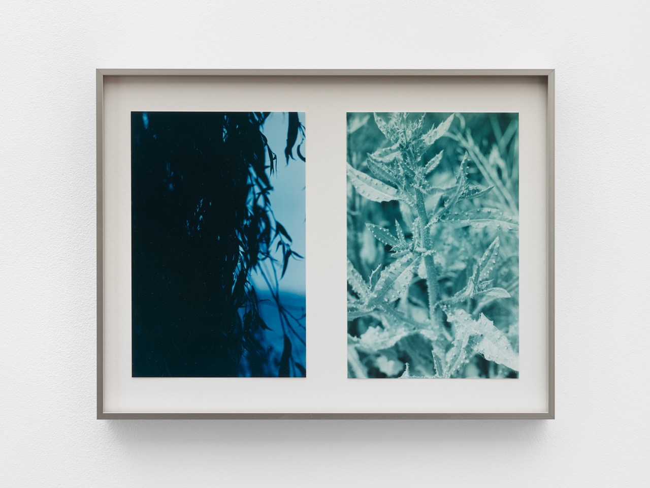 Current Exhibition Image 1